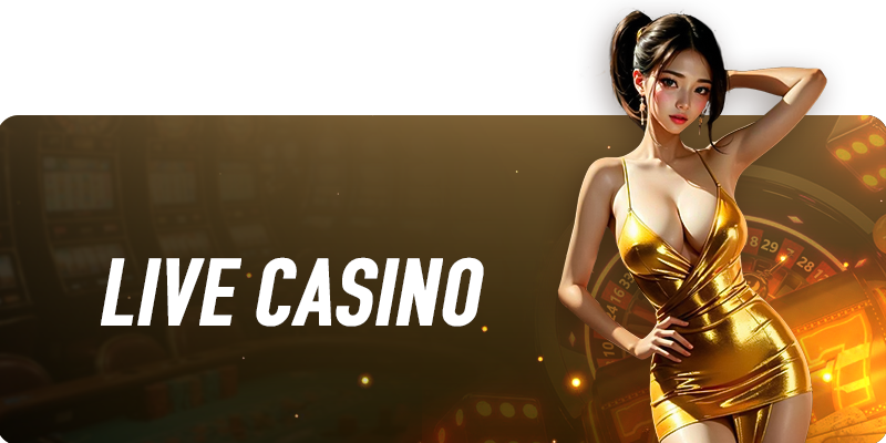 banner-casino